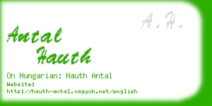 antal hauth business card